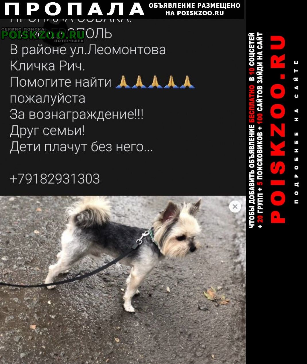 Пропала собака кобель Симферополь
