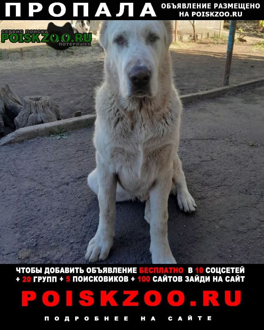 ���� ������� ������ ������