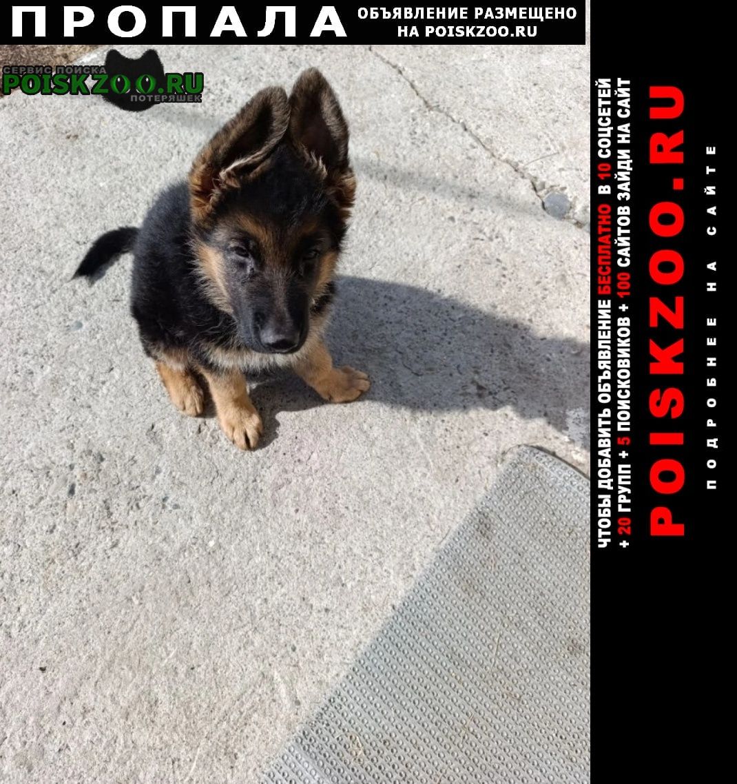 ���� ������� ������ ������ ����� �������� ������� � ������� ���