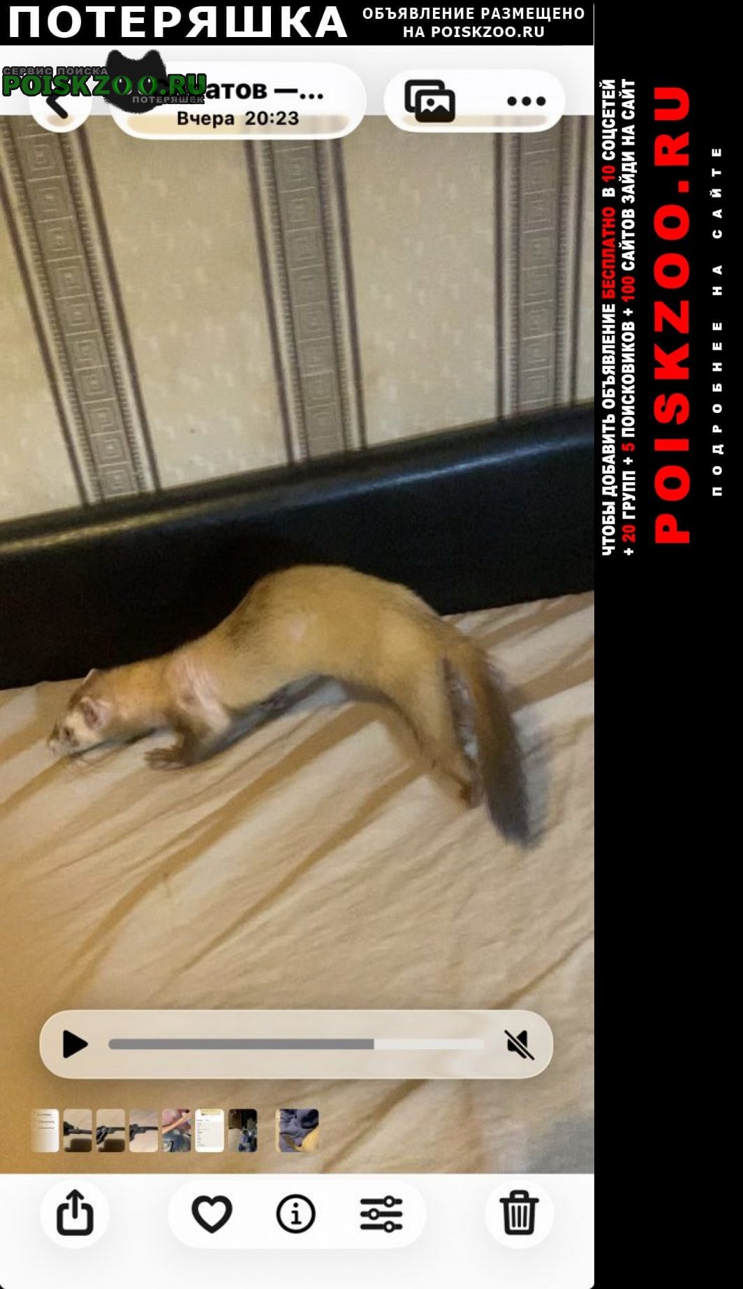 ���� ������ ���� ���� ��������, ���� �� ������ ����