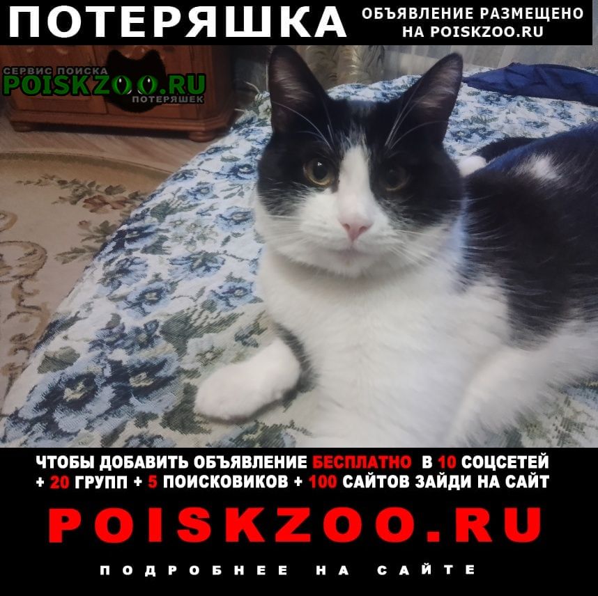 ���� ������� �������� �������� ���