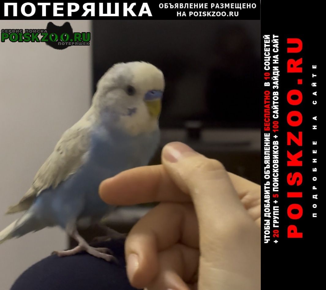 ���� ����� ������� ������ �������