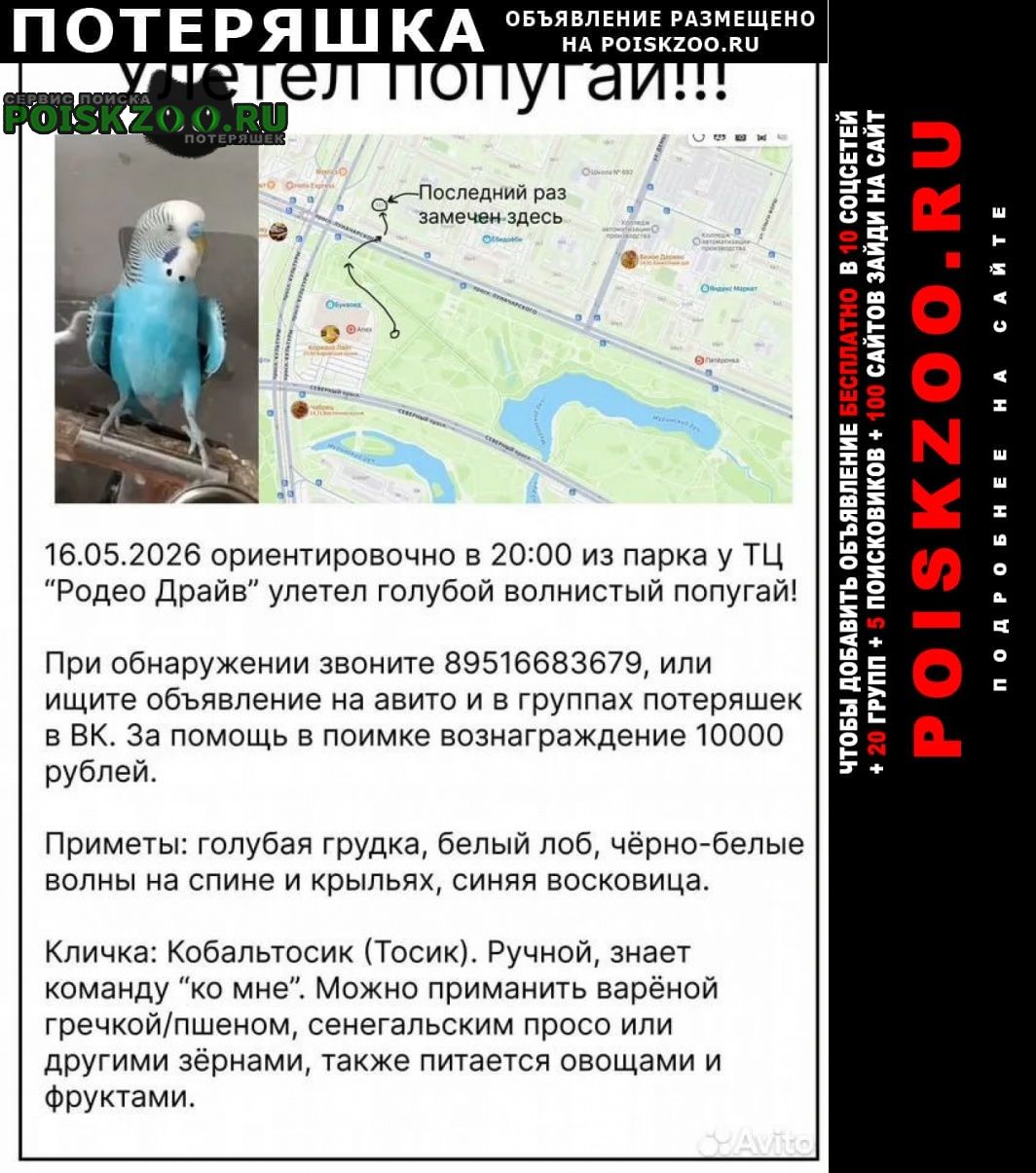 ���� ������ ������� ��������� �������