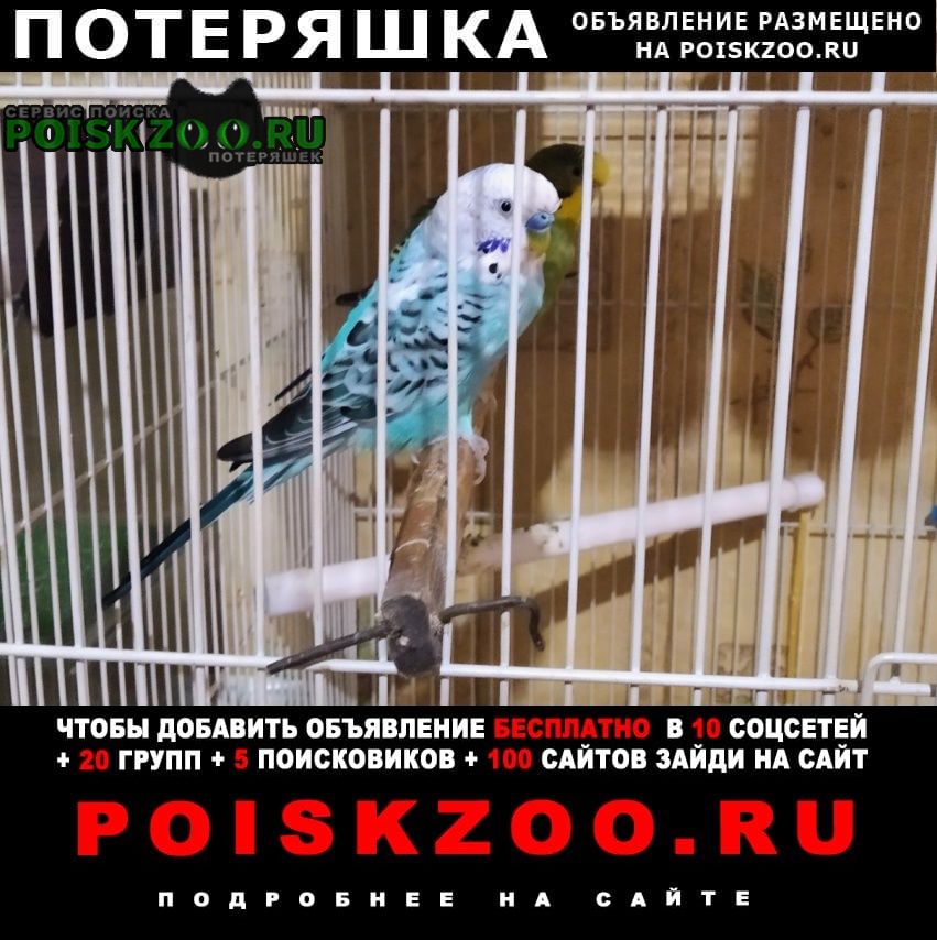 ���� ������ ������� ��������� �������