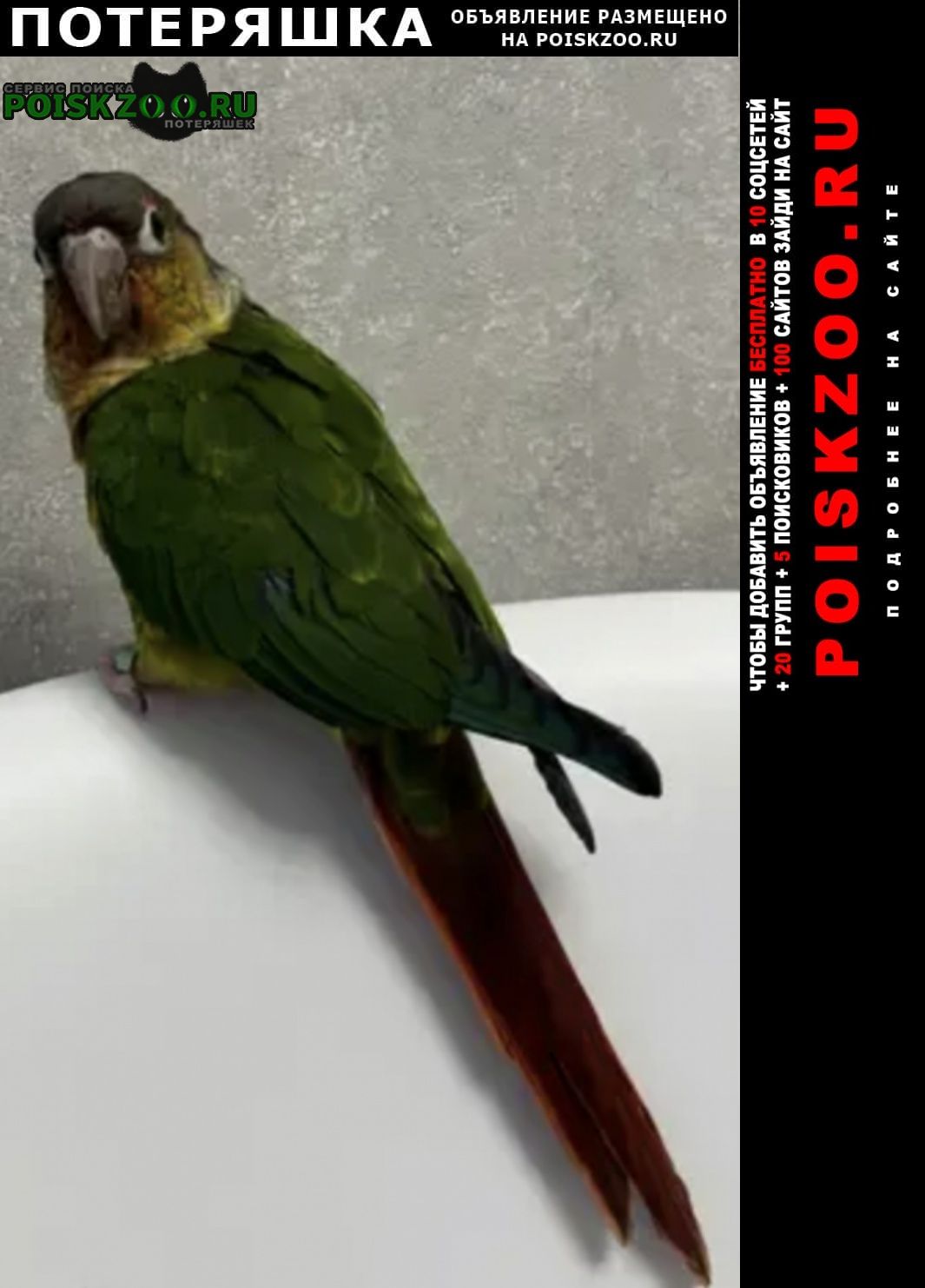 ���� ������ ������� ������ ������� �������