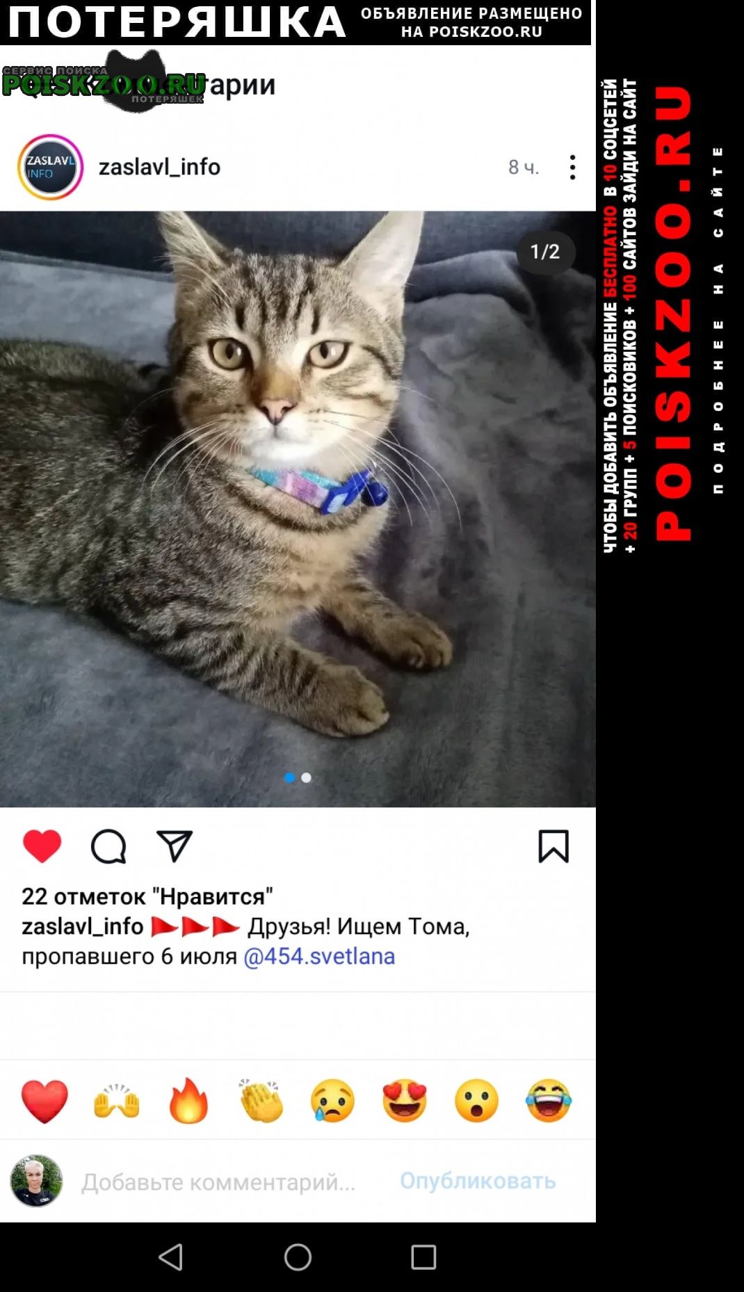 ���� ������� �������� �������� ���