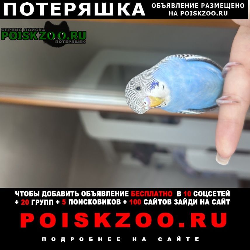 ���� ������ ������� ���������