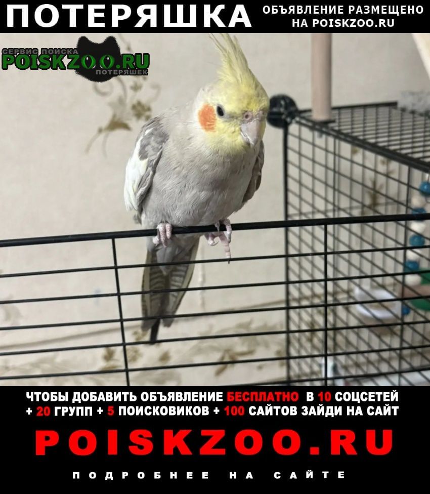 ���� ������� �������� �������� �������