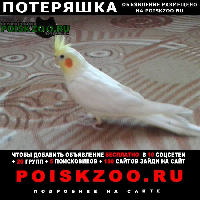 ���� ������ ������� �������