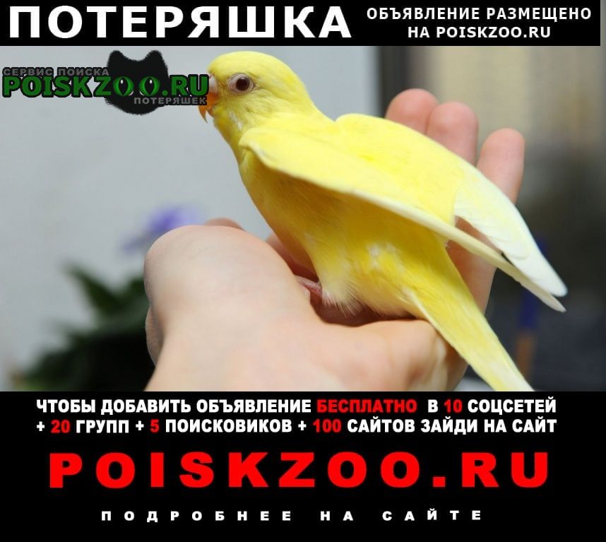 ���� ������ ������� ��������� ����������