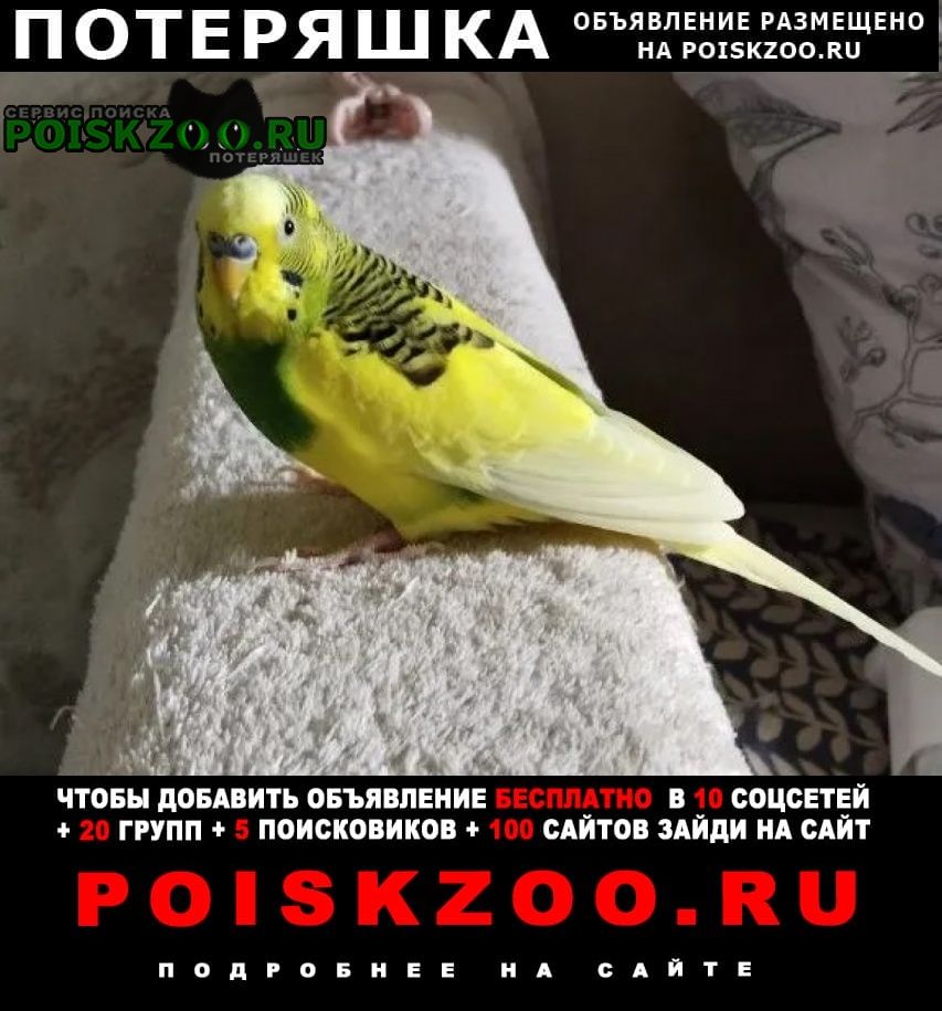���� ������ ������� ���