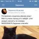 Подробнее об объявлении «Екатеринбург Пропала кошка» Фото: пропала кошка  «Екатеринбург Пропала кошка» в г. Екатеринбург