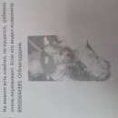 Подробнее об объявлении «Пропала собака Лыткарино» Фото: пропала собака Йоркширский терьер «Пропала собака Лыткарино» в г. Лыткарино