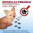 Подробнее об объявлении «Люберцы Пропала собака кобель» Фото: пропала собака Йоркширский терьер «Люберцы Пропала собака кобель» в г. Люберцы
