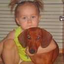 Подробнее об объявлении «Пропала кошка такса  Оренбург» Фото: пропала кошка Такса «Пропала кошка такса  Оренбург» в г. Оренбург