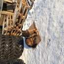 Подробнее об объявлении «Красноярск Найдена собака» Фото: найдена собака Немецкая овчарка «Красноярск Найдена собака» в г. Красноярск