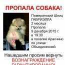 Подробнее об объявлении «Пропала собака Казань» Фото: пропала собака Японский шпиц «Пропала собака Казань» в г. Казань