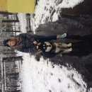 Подробнее об объявлении «Нижний Новгород Найдена собака кобель маломут» Фото: найдена собака  «Нижний Новгород Найдена собака кобель маломут» в г. Нижний Новгород