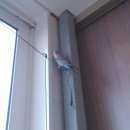 Подробнее об объявлении «Найден попугай Люберцы» Фото: найдено другое животное  «Найден попугай Люберцы» в г. Люберцы