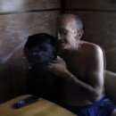 Подробнее об объявлении «Подольск Пропала собака кобель» Фото: пропала собака Лабрадор ретривер «Подольск Пропала собака кобель» в г. Подольск