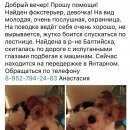 Подробнее об объявлении «Найдена собака фокстерьер, девочка. Балтийск» Фото: найдена собака Фокстерьер «Найдена собака фокстерьер, девочка. Балтийск» в г. Балтийск