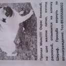 Подробнее об объявлении «Пропала собака кобель Белгород» Фото: пропала собака Мопс «Пропала собака кобель Белгород» в г. Белгород