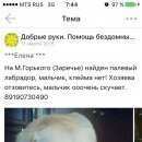 Подробнее об объявлении «Москва Найдена собака» Фото: найдена собака Лабрадор ретривер «Москва Найдена собака» в г. Москва