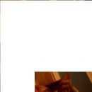 Подробнее об объявлении «Пропала кошка Оренбург» Фото: пропала кошка  «Пропала кошка Оренбург» в г. Оренбург