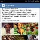 Подробнее об объявлении «Пропала собака кобель Кемерово» Фото: пропала собака  «Пропала собака кобель Кемерово» в г. Кемерово