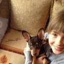 Подробнее об объявлении «Владивосток Пропала собака кобель любимец» Фото: пропала собака Той-терьер «Владивосток Пропала собака кобель любимец» в г. Владивосток
