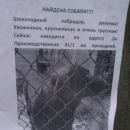Подробнее об объявлении «Омск Найдена собака» Фото: найдена собака Лабрадор ретривер «Омск Найдена собака» в г. Омск