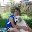 Подробнее об объявлении «Пропала собака кобель Самара» Фото: пропала собака  «Пропала собака кобель Самара» в г. Самара