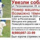 Подробнее об объявлении «Москва Пропала собака кобель» Фото: пропала собака  «Москва Пропала собака кобель» в г. Москва