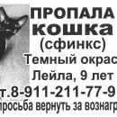 Подробнее об объявлении «Пропала кошка Санкт-Петербург» Фото: пропала кошка Сфинкс «Пропала кошка Санкт-Петербург» в г. Санкт-Петербург