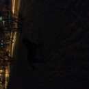 Подробнее об объявлении «Красноярск Найдена собака кобель» Фото: найдена собака  «Красноярск Найдена собака кобель» в г. Красноярск