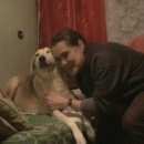 Подробнее об объявлении «Найдена собака Нижний Новгород» Фото: найдена собака  «Найдена собака Нижний Новгород» в г. Нижний Новгород