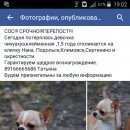 Подробнее об объявлении «Пропала собака помогите    Климовск» Фото: пропала собака Чихуахуа «Пропала собака помогите    Климовск» в г. Климовск