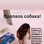 Подробнее об объявлении «Похвистнево Пропала собака кобель» Фото: пропала собака Немецкая овчарка «Похвистнево Пропала собака кобель» в г. Похвистнево