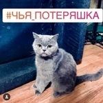Подробнее об объявлении «Найдена кошка Ростов-на-Дону» Фото: найдена кошка Британская короткошерстная «Найдена кошка Ростов-на-Дону» в г. Ростов-на-Дону