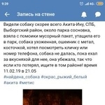 Подробнее об объявлении «Найдена собака Санкт-Петербург» Фото: найдена собака Акита-ину «Найдена собака Санкт-Петербург» в г. Санкт-Петербург