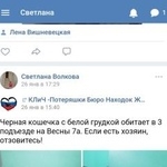 Подробнее об объявлении «Красноярск Найдена кошка помогите найти семью кошечке» Фото: найдена кошка  «Красноярск Найдена кошка помогите найти семью...» в г. Красноярск