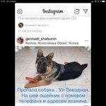 Подробнее об объявлении «Пропала собака кобель Ростов-на-Дону» Фото: пропала собака Немецкая овчарка «Пропала собака кобель Ростов-на-Дону» в г. Ростов-на-Дону