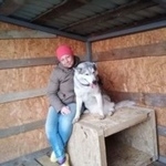 Подробнее об объявлении «Пропала собака Тула» Фото: пропала собака Сибирская хаски «Пропала собака Тула» в г. Тула