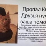Подробнее об объявлении «Тула Пропал кот» Фото: пропала кошка Мейн-кун «Тула Пропал кот» в г. Тула