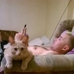 Подробнее об объявлении «Курган Пропала кошка» Фото: пропала кошка  «Курган Пропала кошка» в г. Курган