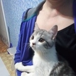 Подробнее об объявлении «Найдена кошка Курган» Фото: найдена кошка  «Найдена кошка Курган» в г. Курган