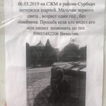 Подробнее об объявлении «Пропала собака Ростов-на-Дону» Фото: пропала собака Шар-пей «Пропала собака Ростов-на-Дону» в г. Ростов-на-Дону