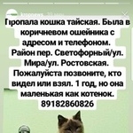 Подробнее об объявлении «Пропала кошка тайская кошка Кропоткин» Фото: пропала кошка Тайская «Пропала кошка тайская кошка Кропоткин» в г. Кропоткин