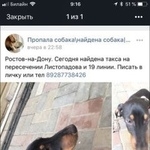 Подробнее об объявлении «Найдена собака Ростов-на-Дону» Фото: найдена собака Такса «Найдена собака Ростов-на-Дону» в г. Ростов-на-Дону