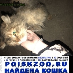 Подробнее об объявлении «Москва Найдена кошка домашняя» Фото: найдена кошка  «Москва Найдена кошка домашняя» в г. Москва